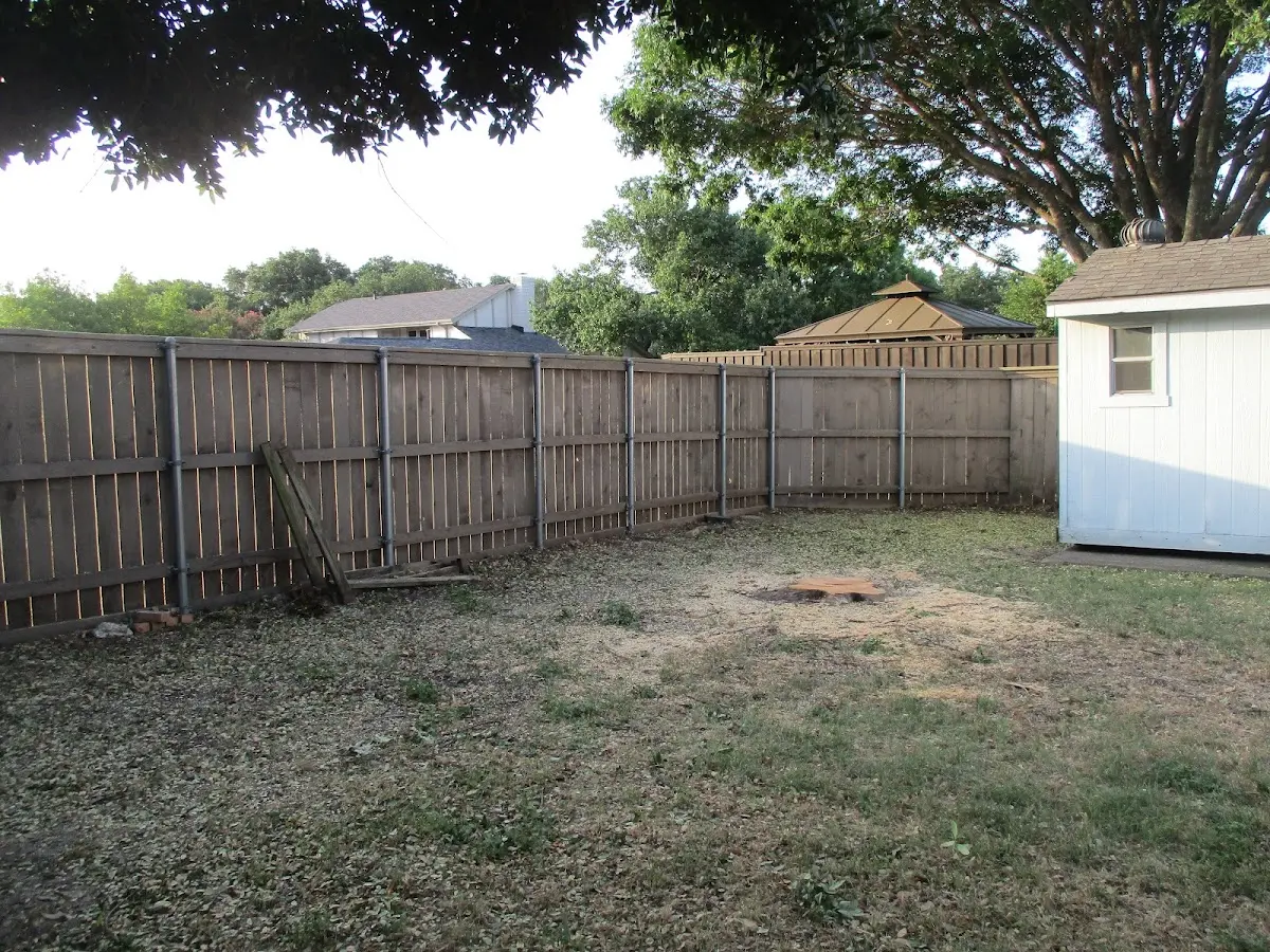 Cleared yard after professional tree removal in Augusta
